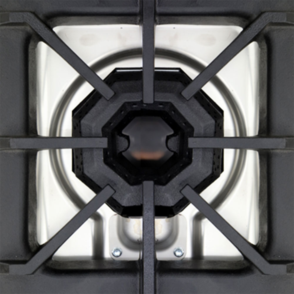 Coriat-PCV-2-Master-3